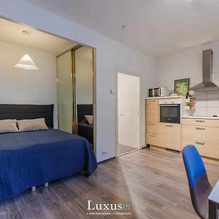 Mukava Yksioe Laehellae Keskustaa Ja Metroa Lägenhet